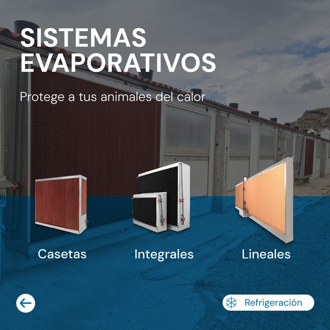 EVAPORTAIVOS ABRIL 2026