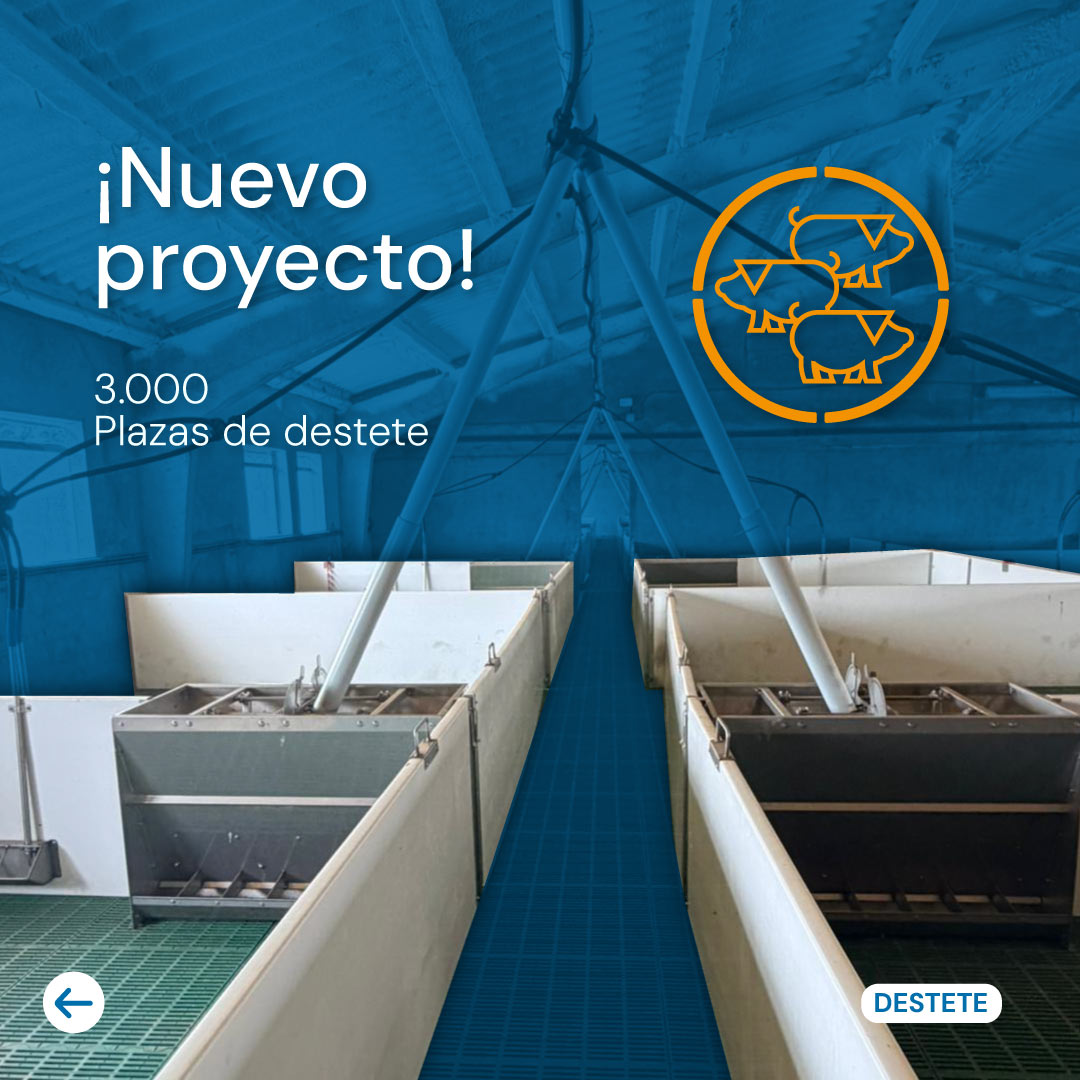 NUEVO PROYECTO DESTETE ABRIL 2026