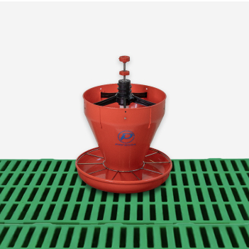 TOLVA-ORBEED-CATEGORIA