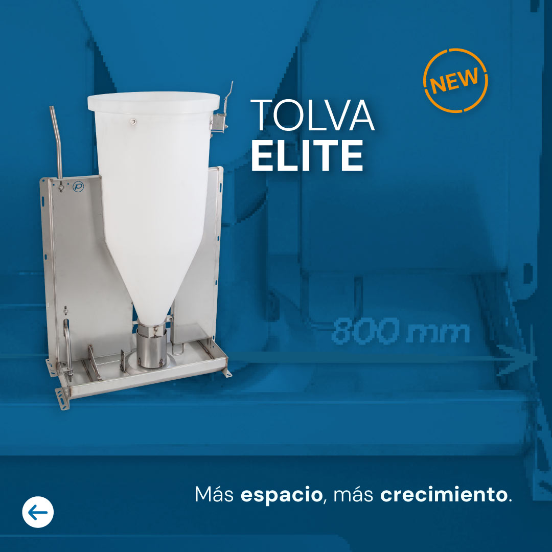 Tolva Elite de Porinox para alimentación de cerdos de engorde, con plato de acero inoxidable y depósito de 150 litros