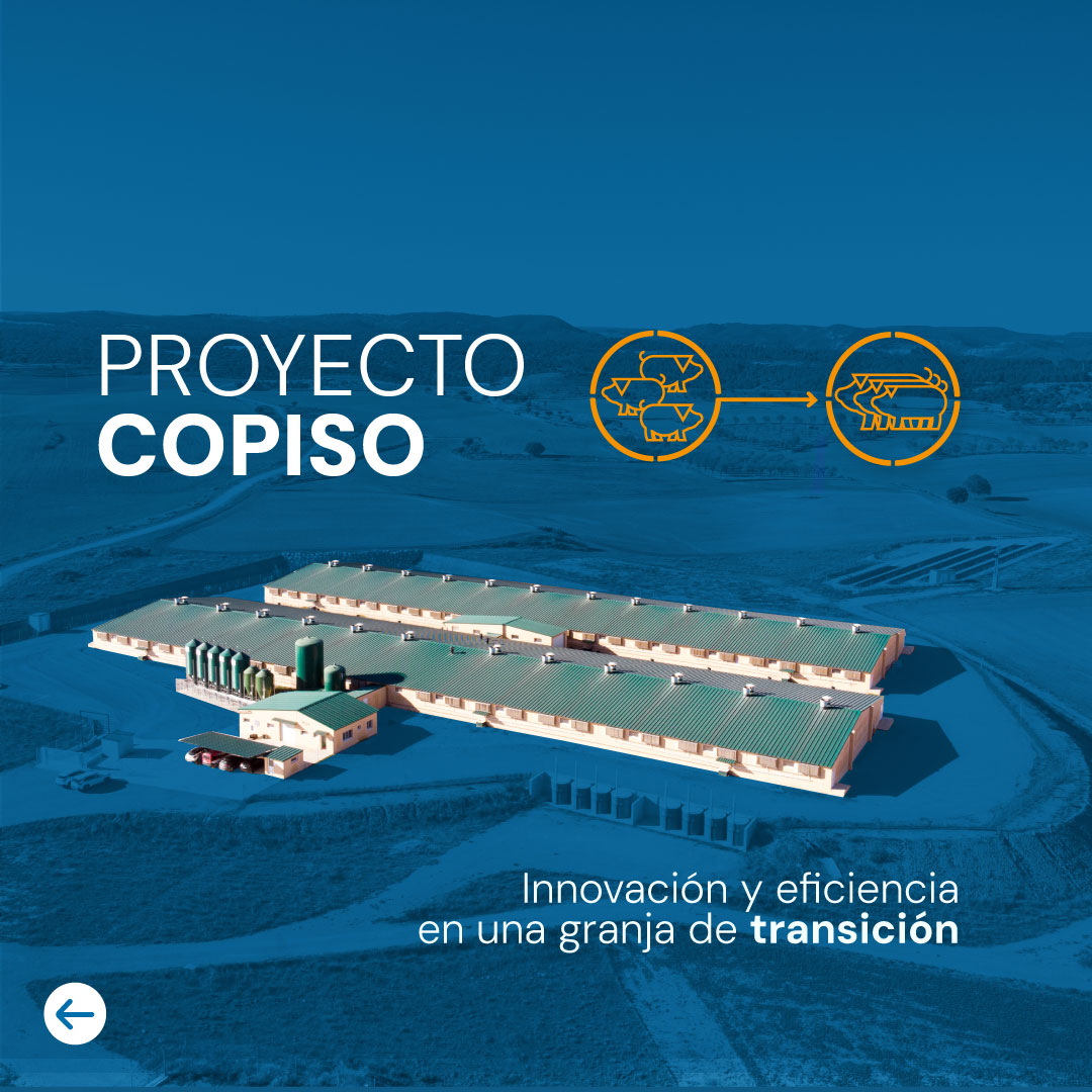 poryecto copiso